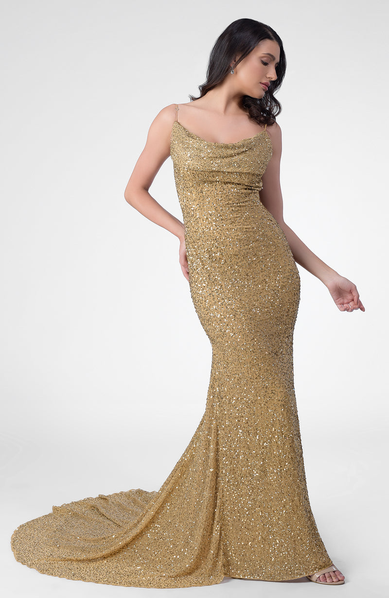 Gold best sale mermaid gown