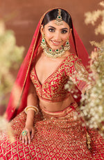 Flirtation Lehenga Set