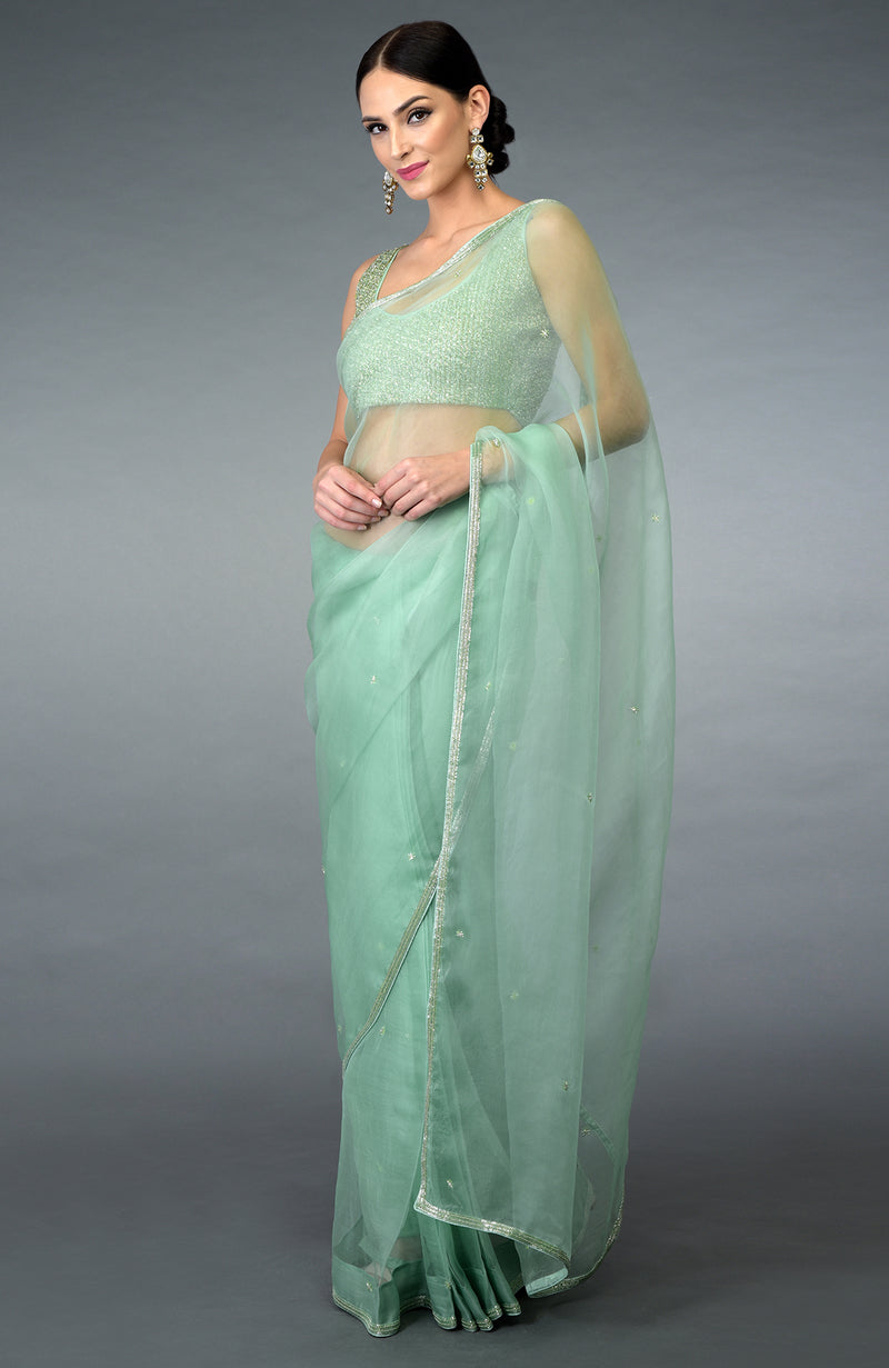 Mint Green Beads Hand Embroidered Saree & Blouse