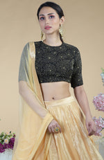 Black-Gold Hand Embroidered Blouse With Gold Tissue Skirt