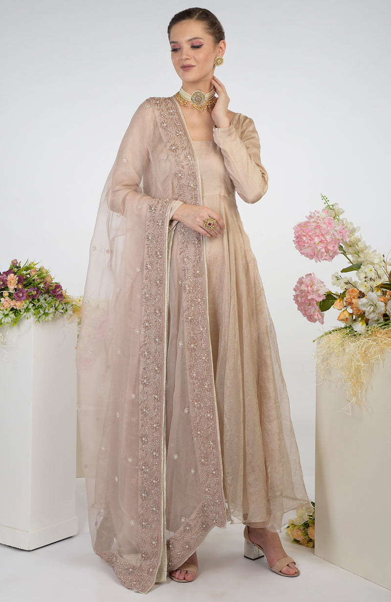 Nude Pink Hand Embroidered Organza Dupatta