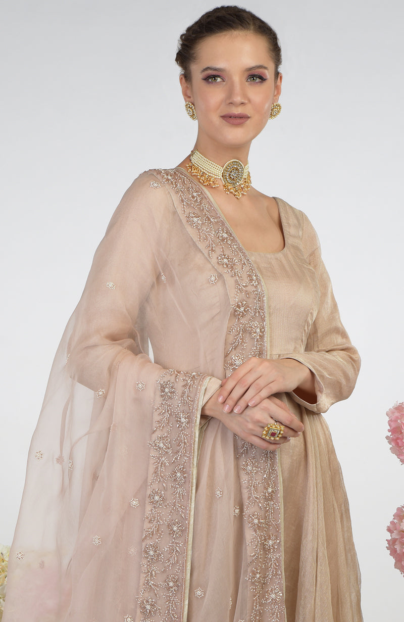 Nude Pink Hand Embroidered Organza Dupatta