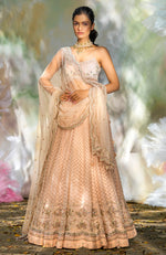 For Keeps Champagne Pink Lehenga Set