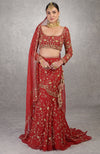 She Walks In Beauty Red Lehenga Set