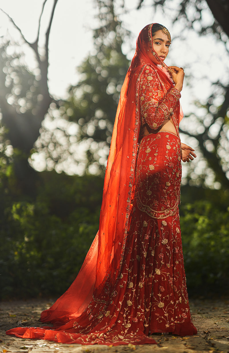 She Walks In Beauty Red Lehenga Set