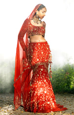 She Walks In Beauty Deep Rosewood Lehenga Set