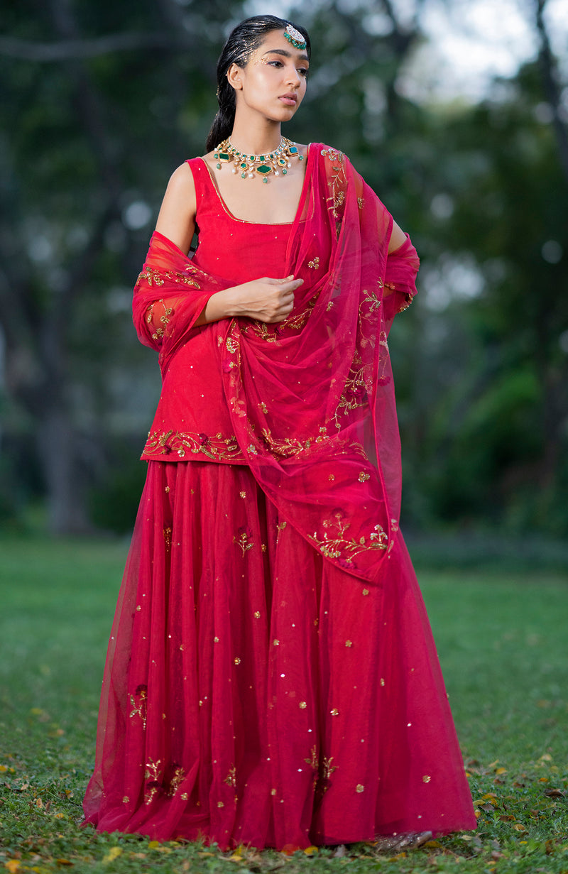 Raspberry 3D Floral & Zardozi Hand Embroidered Sharara Set