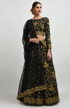 Black Gold Tilla Aari Embroidered Raw Silk Lehenga Set