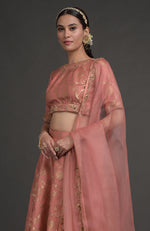 Desert Rose Benarasi Weave Zardozi Embroidered Lehenga Set