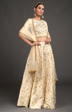 Ivory Benarasi Weave Zardozi Lehenga Set