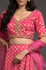 Raspberry Pink Benarasi Weave Zardozi Embroidered Blouse