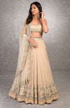 For Keeps Champagne Pink Lehenga Set